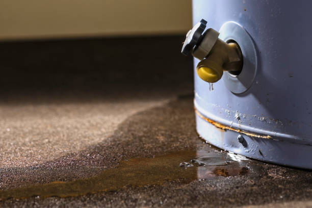 Best Fire Damage Restoration  in West Wood, UT