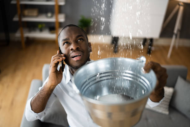 Best Water damage restoration near me  in West Wood, UT