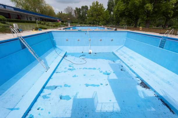Best Basement water damage restoration  in West Wood, UT