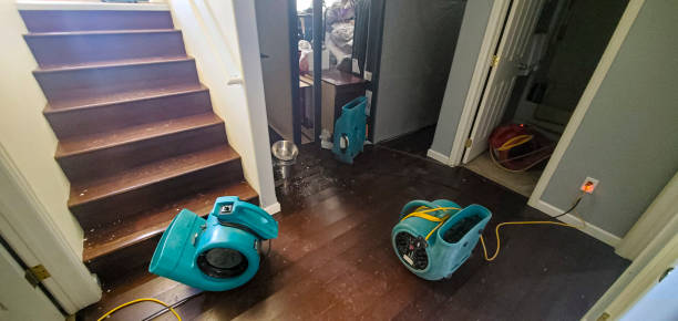 Professional Water damage restoration in West Wood, UT