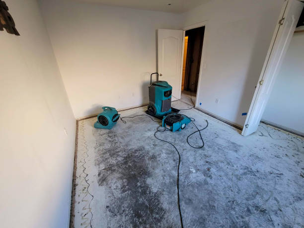 Best Water damage restoration cost  in West Wood, UT