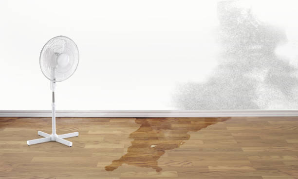 Best Emergency water damage restoration  in West Wood, UT