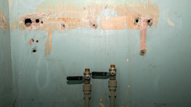 Best Flooded house restoration  in West Wood, UT