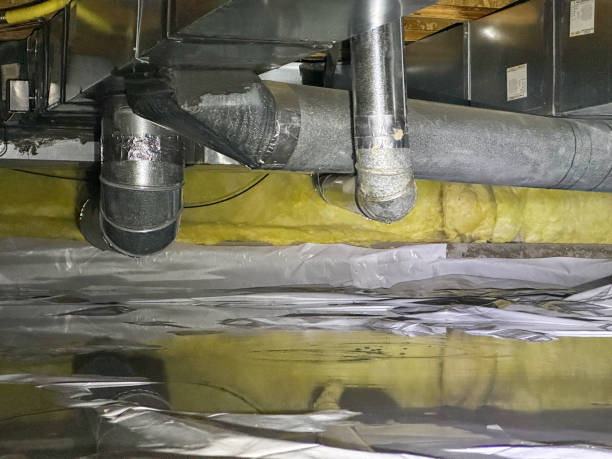 Best Water damage cleanup near me  in West Wood, UT