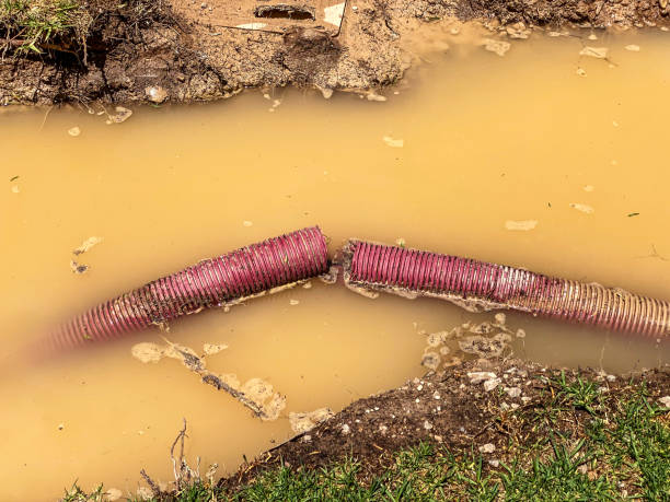 Best 24-hour water damage restoration  in West Wood, UT