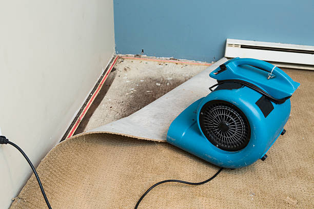  West Wood, UT Water damage restoration Pros