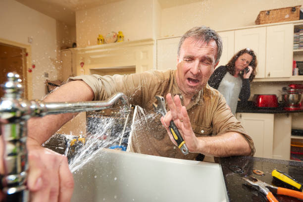 Best Sewage cleanup and water damage restoration  in West Wood, UT